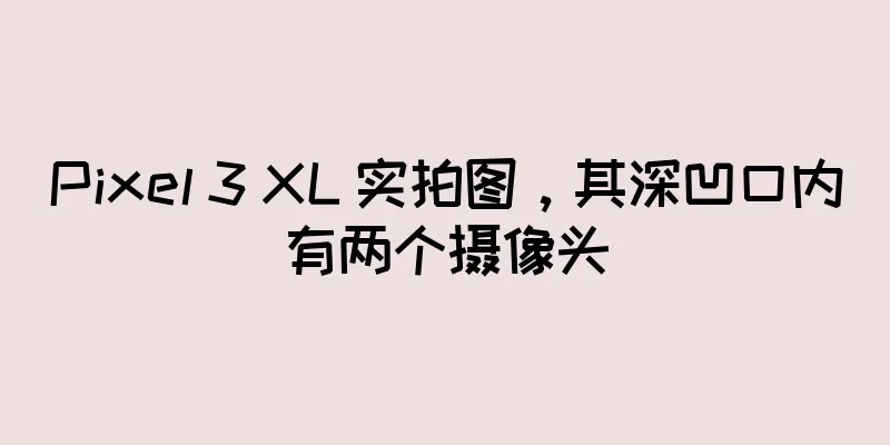 Pixel 3 XL 实拍图，其深凹口内有两个摄像头