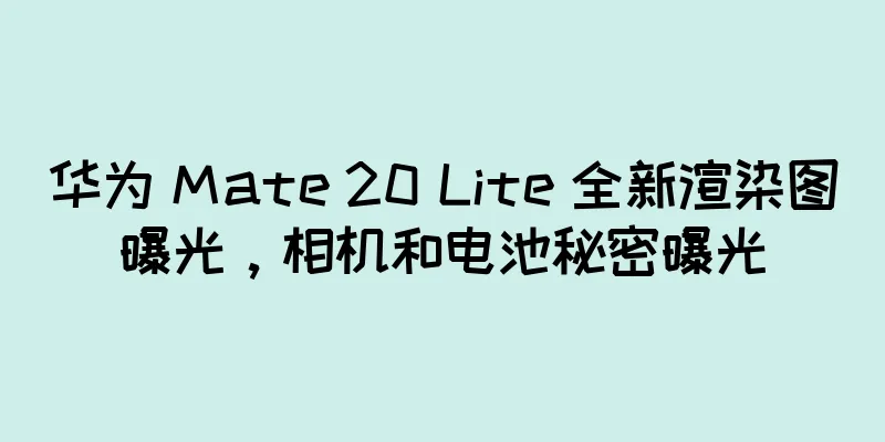 华为 Mate 20 Lite 全新渲染图曝光，相机和电池秘密曝光