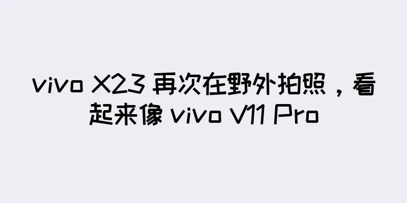 vivo X23 再次在野外拍照，看起来像 vivo V11 Pro
