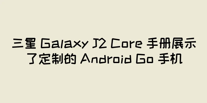 三星 Galaxy J2 Core 手册展示了定制的 Android Go 手机