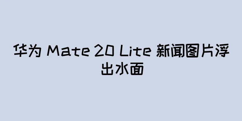 华为 Mate 20 Lite 新闻图片浮出水面