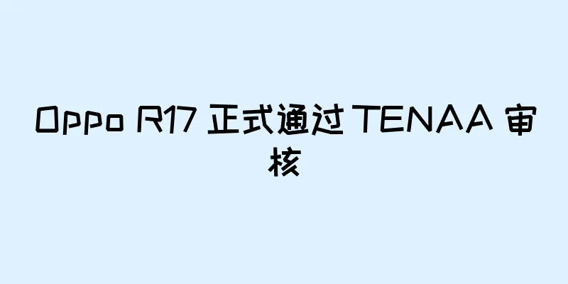Oppo R17 正式通过 TENAA 审核