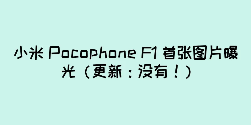 小米 Pocophone F1 首张图片曝光（更新：没有！）