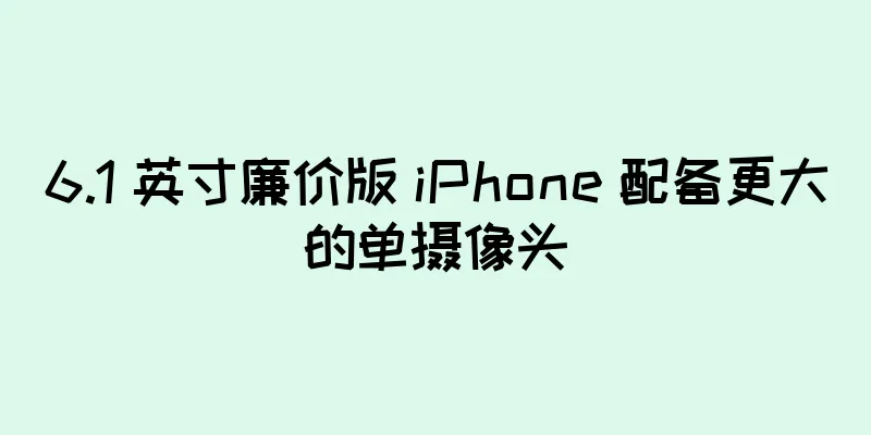 6.1 英寸廉价版 iPhone 配备更大的单摄像头