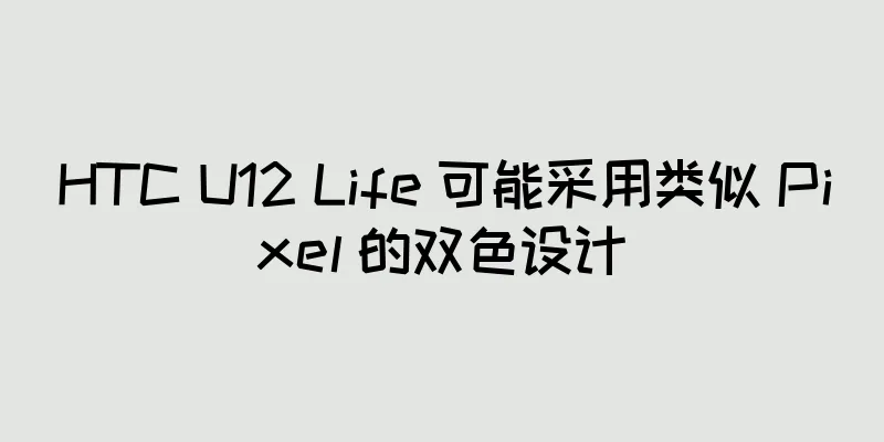 HTC U12 Life 可能采用类似 Pixel 的双色设计
