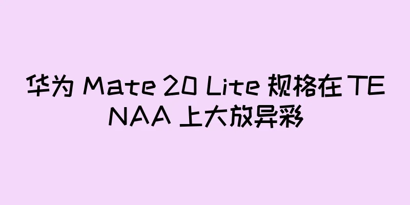 华为 Mate 20 Lite 规格在 TENAA 上大放异彩