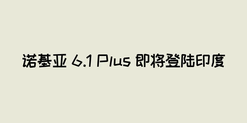 诺基亚 6.1 Plus 即将登陆印度