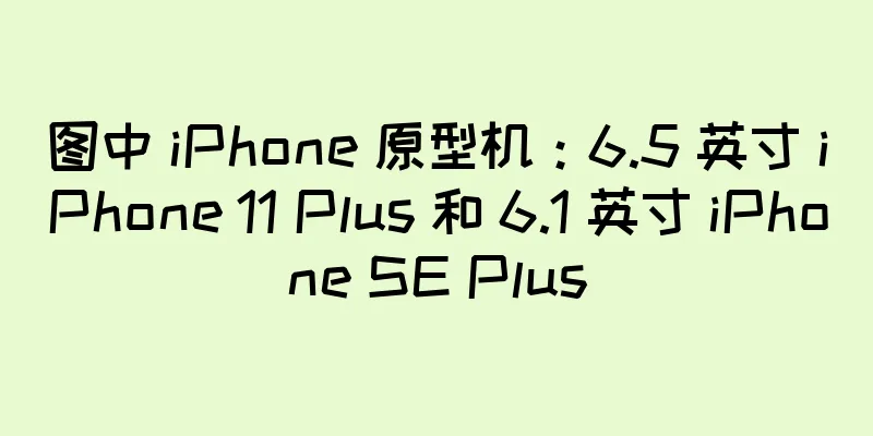 图中 iPhone 原型机：6.5 英寸 iPhone 11 Plus 和 6.1 英寸 iPhone SE Plus
