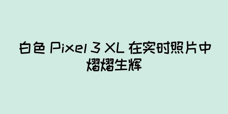 白色 Pixel 3 XL 在实时照片中熠熠生辉