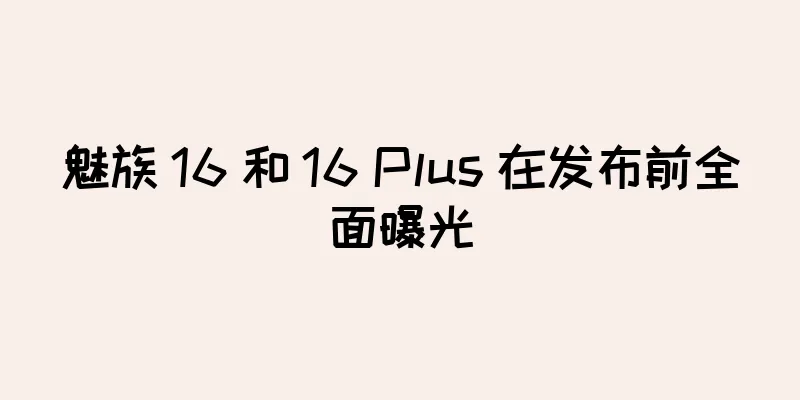 魅族 16 和 16 Plus 在发布前全面曝光