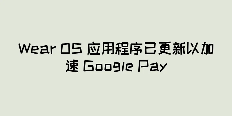 Wear OS 应用程序已更新以加速 Google Pay