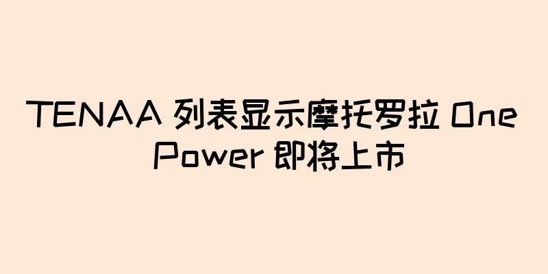 TENAA 列表显示摩托罗拉 One Power 即将上市