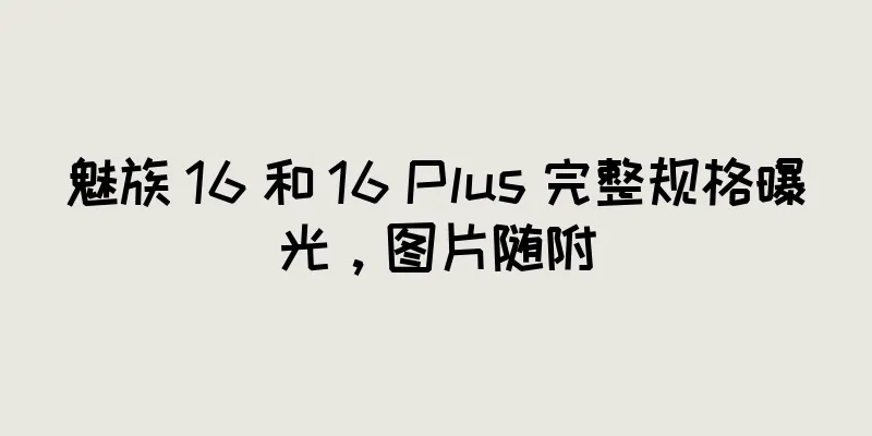 魅族 16 和 16 Plus 完整规格曝光，图片随附