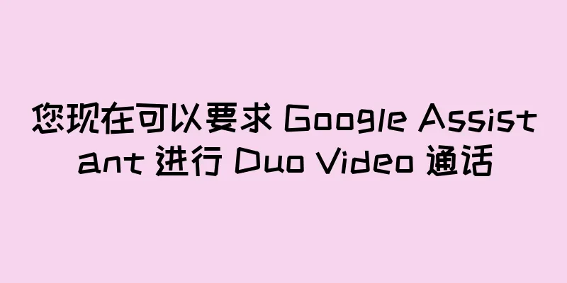 您现在可以要求 Google Assistant 进行 Duo Video 通话