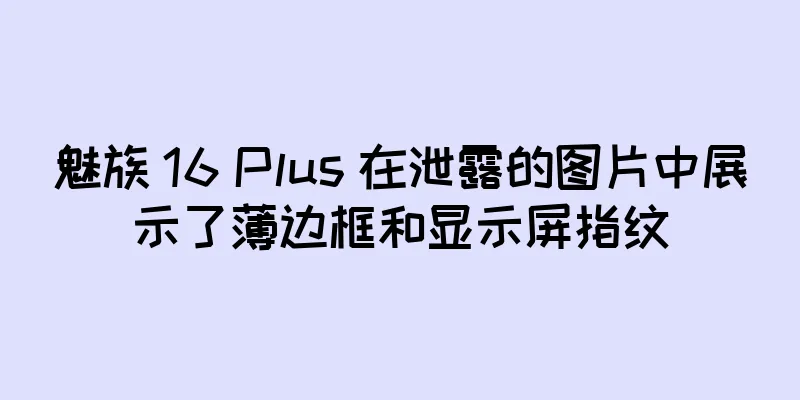 魅族 16 Plus 在泄露的图片中展示了薄边框和显示屏指纹