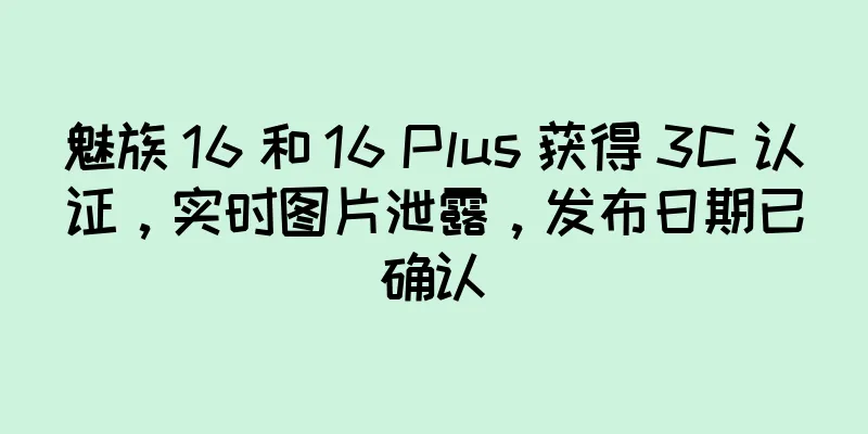 魅族 16 和 16 Plus 获得 3C 认证，实时图片泄露，发布日期已确认
