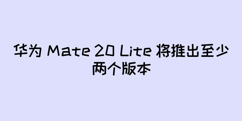 华为 Mate 20 Lite 将推出至少两个版本