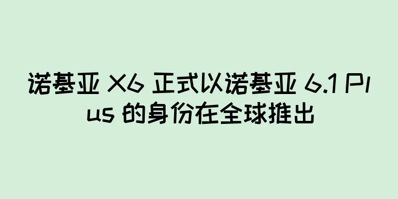 诺基亚 X6 正式以诺基亚 6.1 Plus 的身份在全球推出