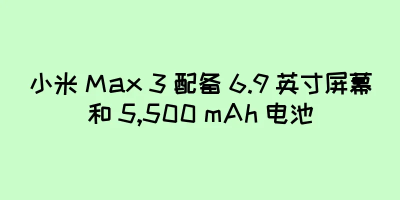 小米 Max 3 配备 6.9 英寸屏幕和 5,500 mAh 电池