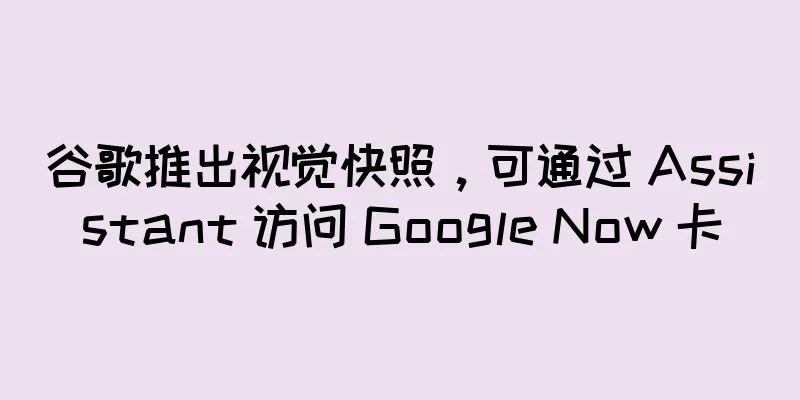 谷歌推出视觉快照，可通过 Assistant 访问 Google Now 卡