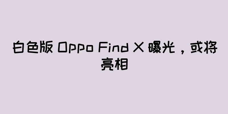 白色版 Oppo Find X 曝光，或将亮相