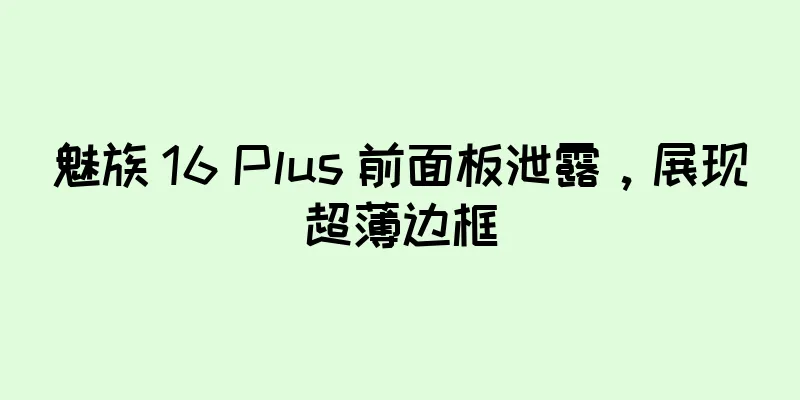 魅族 16 Plus 前面板泄露，展现超薄边框
