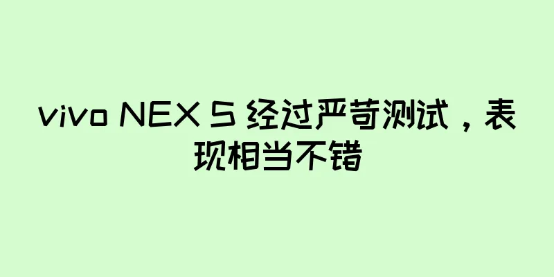 vivo NEX S 经过严苛测试，表现相当不错