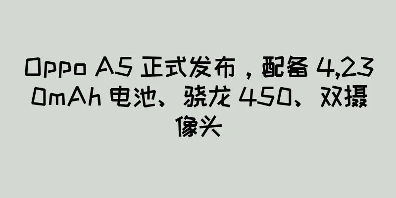 Oppo A5 正式发布，配备 4,230mAh 电池、骁龙 450、双摄像头