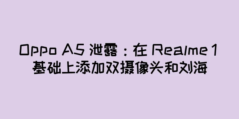 Oppo A5 泄露：在 Realme 1 基础上添加双摄像头和刘海