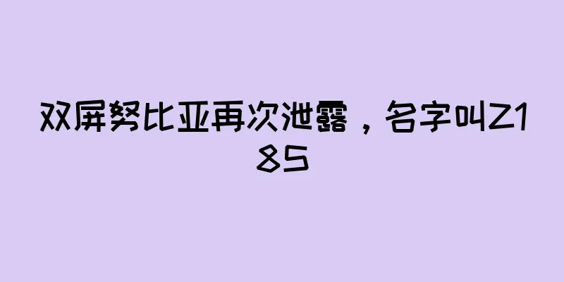 双屏努比亚再次泄露，名字叫Z18S
