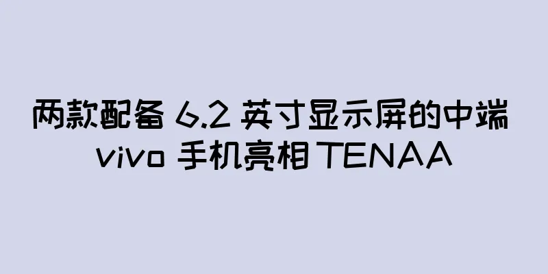 两款配备 6.2 英寸显示屏的中端 vivo 手机亮相 TENAA