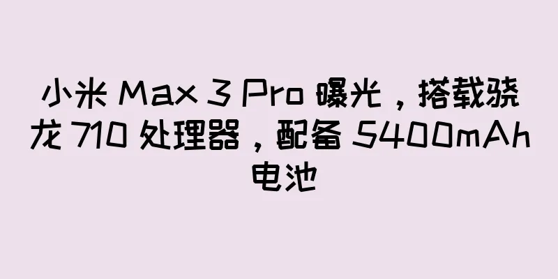 小米 Max 3 Pro 曝光，搭载骁龙 710 处理器，配备 5400mAh 电池