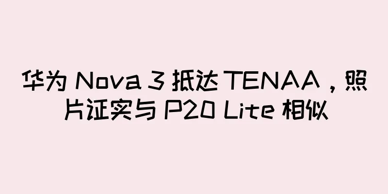 华为 Nova 3 抵达 TENAA，照片证实与 P20 Lite 相似