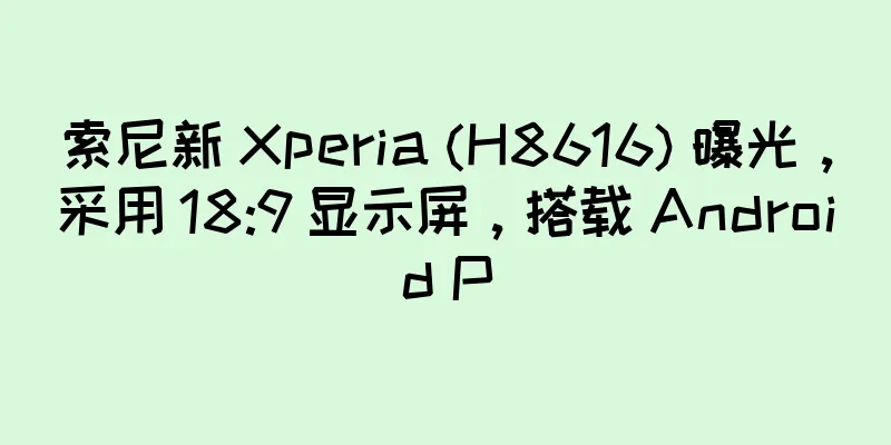 索尼新 Xperia (H8616) 曝光，采用 18:9 显示屏，搭载 Android P
