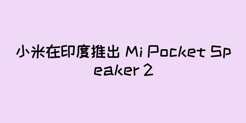 小米在印度推出 Mi Pocket Speaker 2