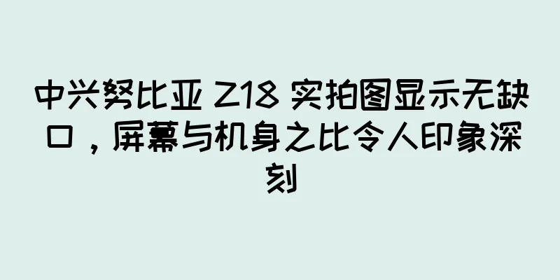 中兴努比亚 Z18 实拍图显示无缺口，屏幕与机身之比令人印象深刻