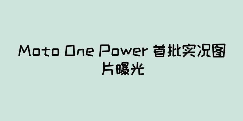 Moto One Power 首批实况图片曝光