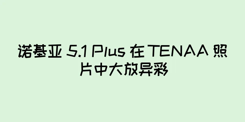 诺基亚 5.1 Plus 在 TENAA 照片中大放异彩