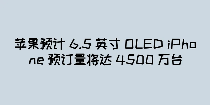 苹果预计 6.5 英寸 OLED iPhone 预订量将达 4500 万台