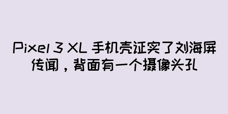 Pixel 3 XL 手机壳证实了刘海屏传闻，背面有一个摄像头孔