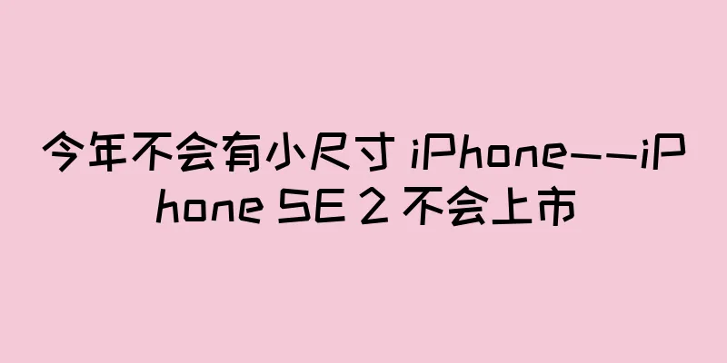 今年不会有小尺寸 iPhone——iPhone SE 2 不会上市