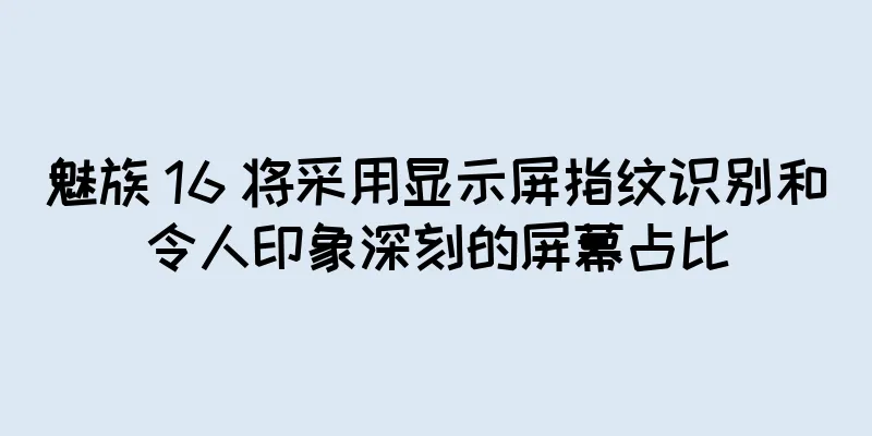 魅族 16 将采用显示屏指纹识别和令人印象深刻的屏幕占比