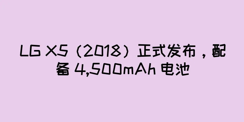 LG X5（2018）正式发布，配备 4,500mAh 电池