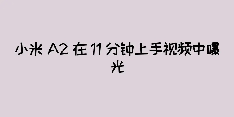 小米 A2 在 11 分钟上手视频中曝光