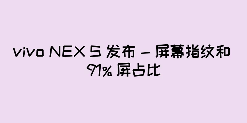 vivo NEX S 发布 - 屏幕指纹和 91% 屏占比