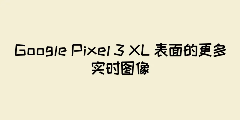 Google Pixel 3 XL 表面的更多实时图像