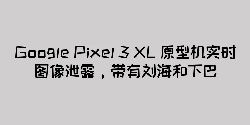 Google Pixel 3 XL 原型机实时图像泄露，带有刘海和下巴