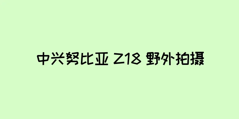 中兴努比亚 Z18 野外拍摄