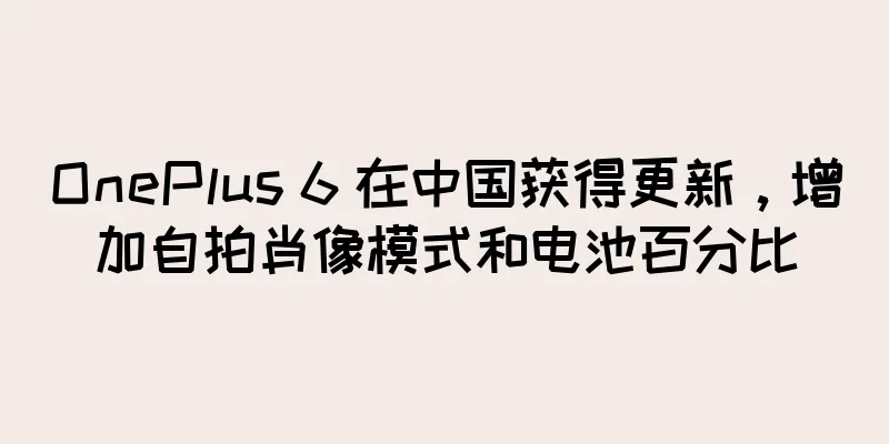 OnePlus 6 在中国获得更新，增加自拍肖像模式和电池百分比
