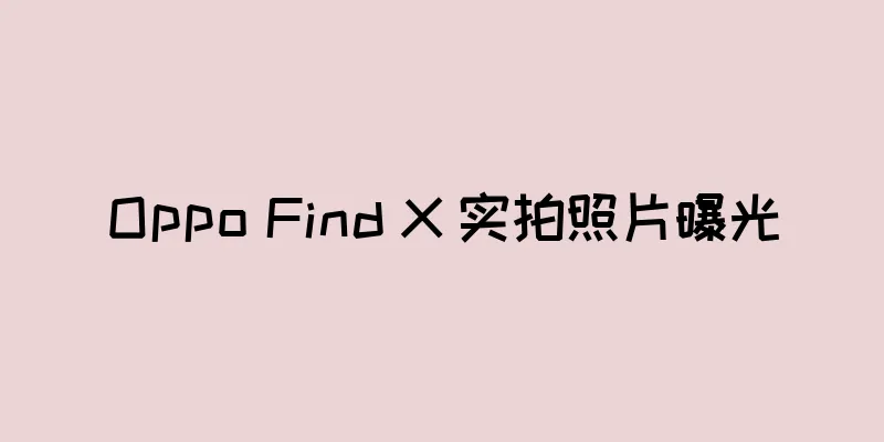 Oppo Find X 实拍照片曝光